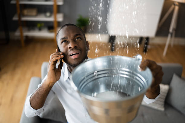 Best Water damage contractors near me  in Stallion Springs, CA