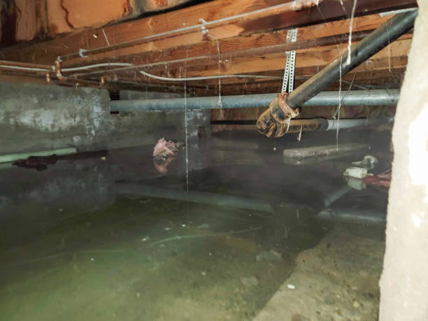 Best Fire Damage Restoration  in Stallion Springs, CA