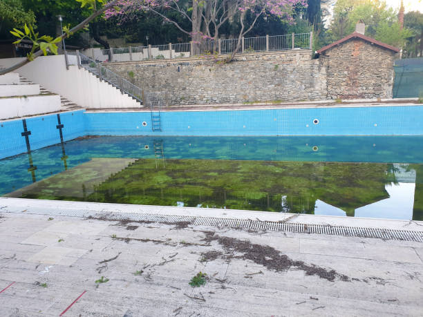 Best Flood restoration services  in Stallion Springs, CA