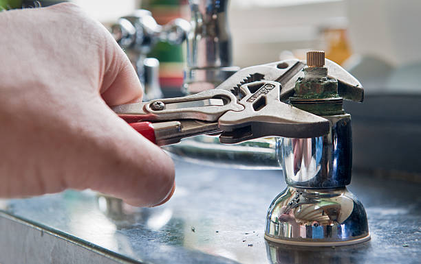 Best Mold removal after water damage  in Stallion Springs, CA
