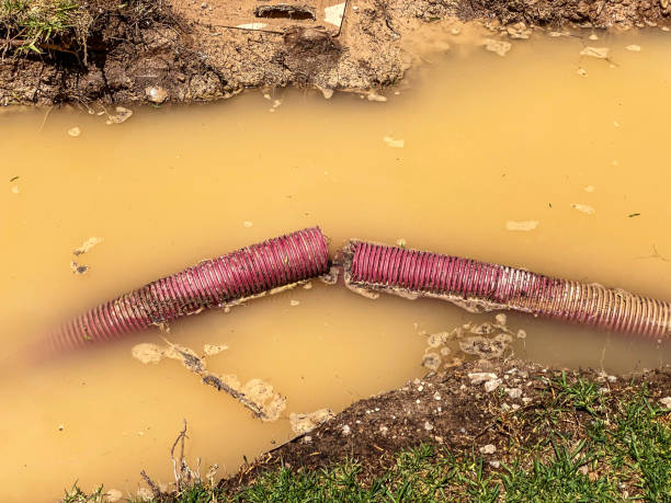 Water damage restoration process in CA