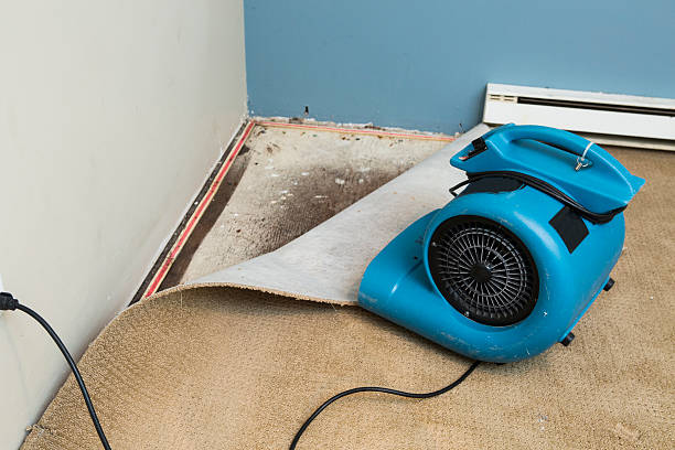 Best 24/7 water damage repair  in Stallion Springs, CA